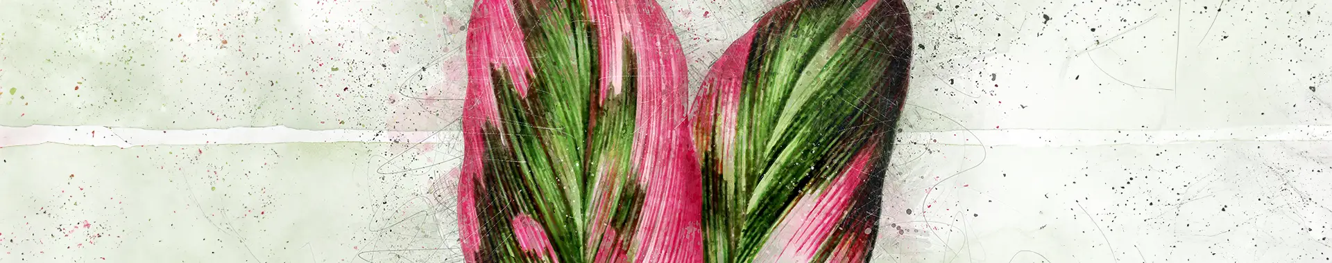 Tropical Treasures - Pink Pleasure Banner