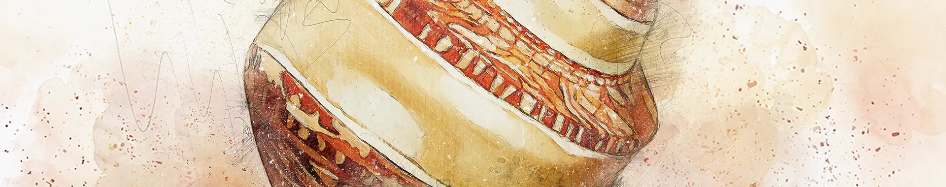 Seashell - Banded Turban Banner